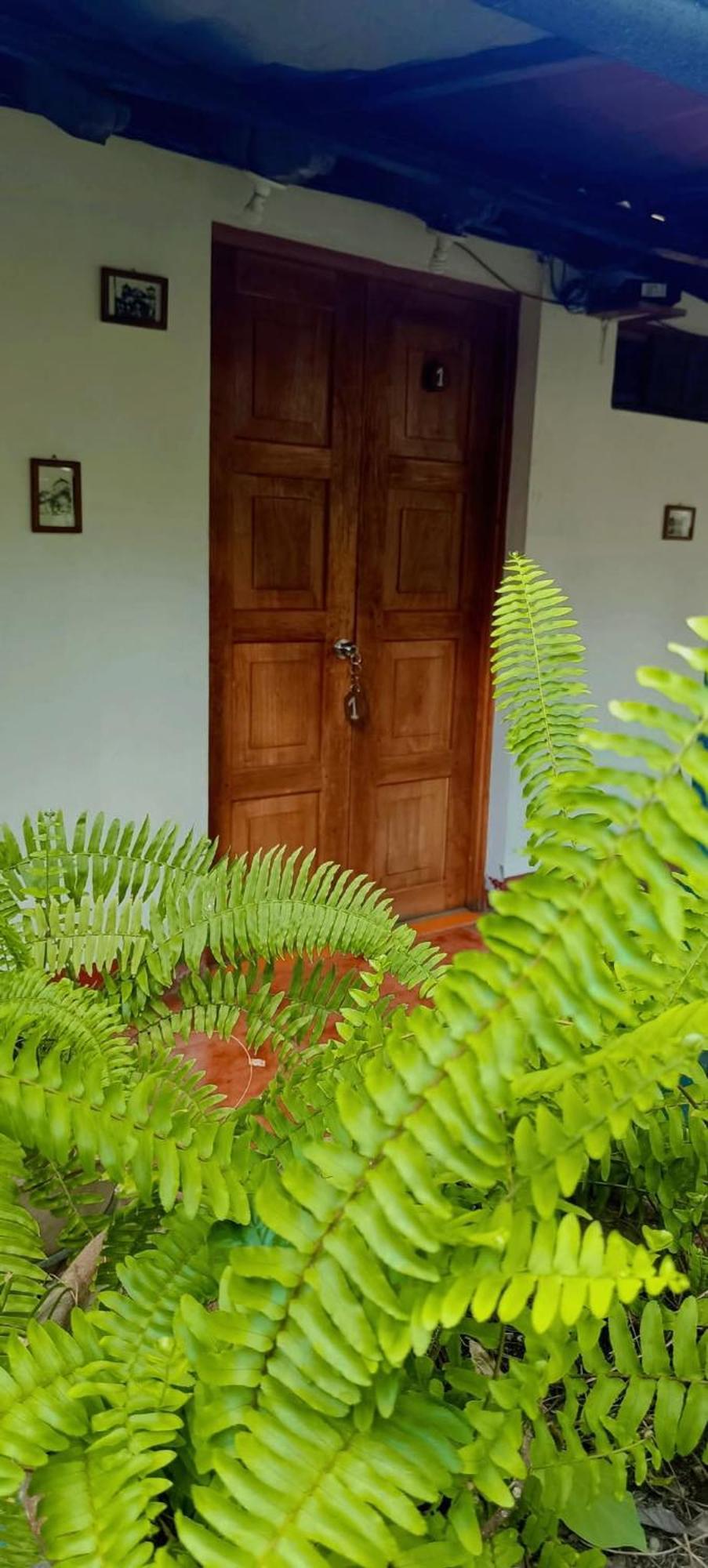 Casa De Los Berrios León Buitenkant foto