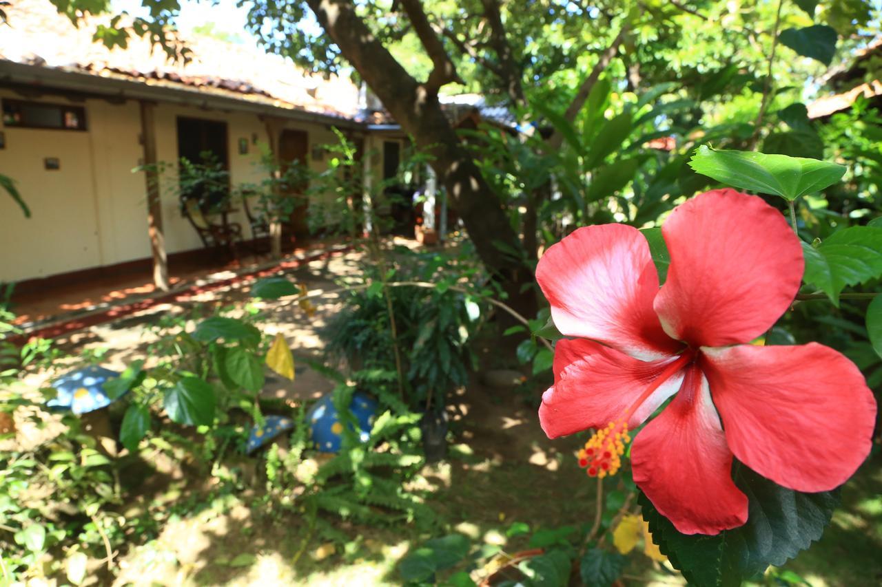 Casa De Los Berrios León Buitenkant foto